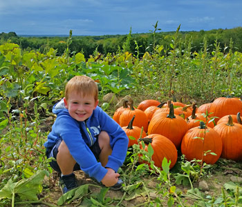 Grandmothers Dark Chocolate Pumpkin Sweet Bread - Gerbs Eating Well Blog