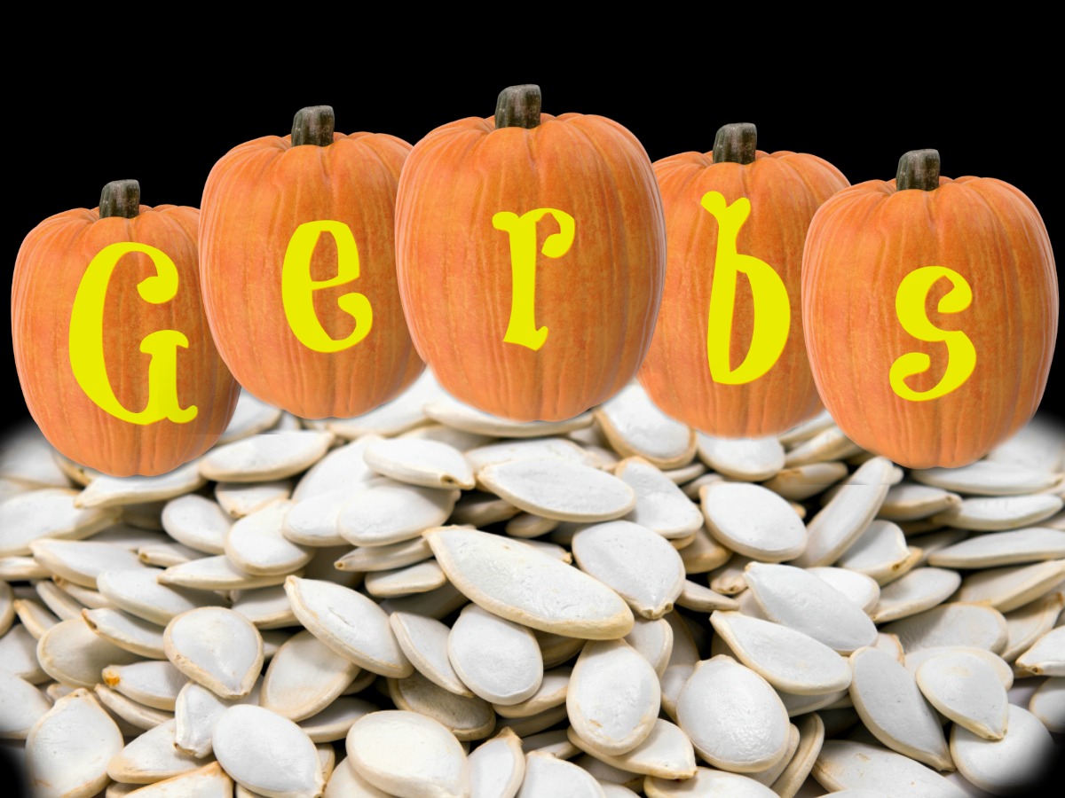 nutritional-value-of-gerbs-pumpkin-seeds-gerbs-eating-well-blog