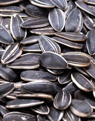 Seeds - Allergy Friendly Foods - Sold by Pound - MyGerbs