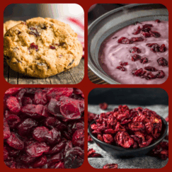 Gerbs Dried Cranberries ultimate collage