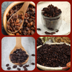 Gerbs Thompson no sugar added dried Raisins