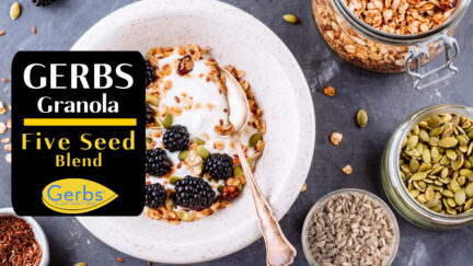 Healthy breakfast bowl of greek yogurt with granola, flax chia, hemp sunflower seeds, pumpkin seeds and fresh blackberries