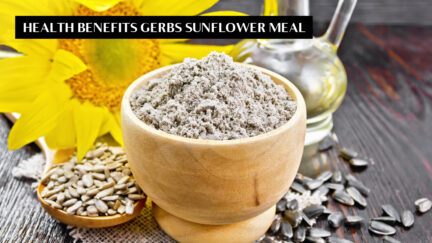 HEALTH BENEFITS sunflower MEAL