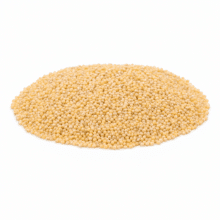 White Millet Seed | Raw Grain - hero