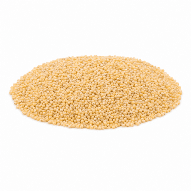 White Millet Seed | Raw Grain