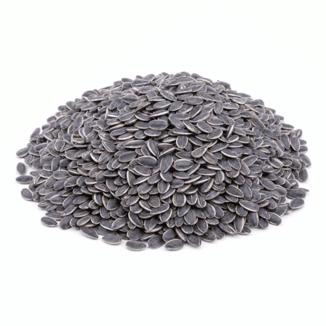 In-Shell Sunflower Seeds | Raw