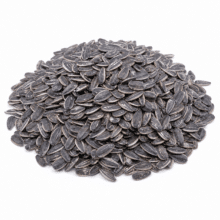 In-Shell Sunflower Seeds | Raw