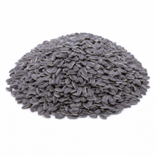 In-Shell Sunflower Seeds | Roasted & Unsalted - hero
