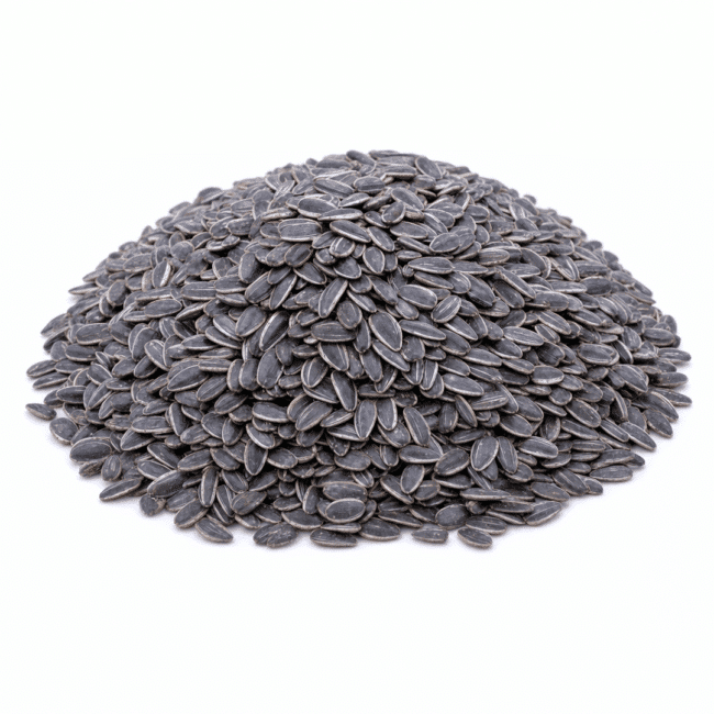 In-Shell Sunflower Seeds | Roasted & Unsalted