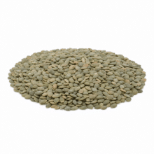 Pumpkin Kernels | Unsalted & Roasted Pepitas - hero