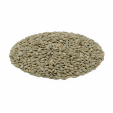 Pumpkin Kernels | Roasted Lightly Sea Salted Pepitas