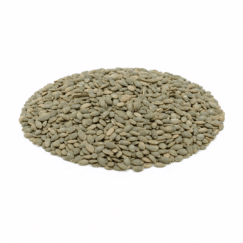 Pumpkin Kernels | Roasted Lightly Sea Salted Pepitas