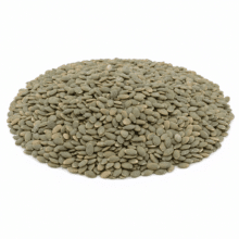 Pumpkin Kernels | Sea Salted Pepitas - hero
