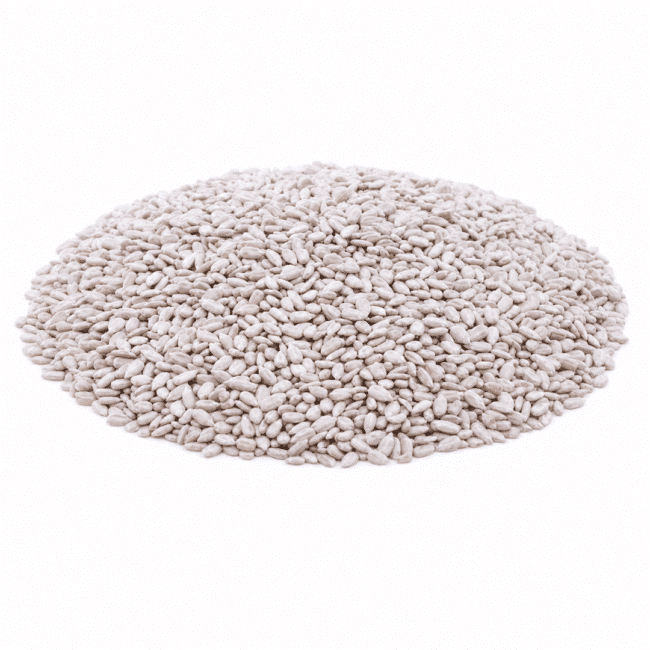 Sunflower Kernels | Raw