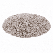Sunflower Kernels | Sea Salted - hero