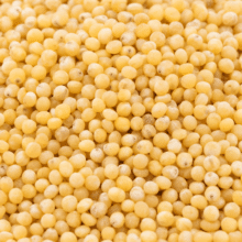 Grains category
