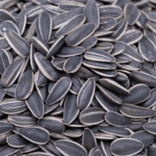 Seeds category