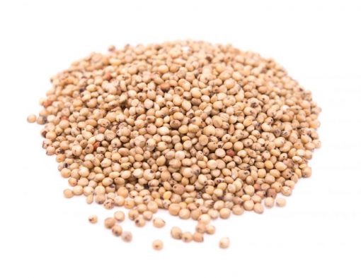  White Sorghum Grain  Allergy Friendly Foods MyGerbs