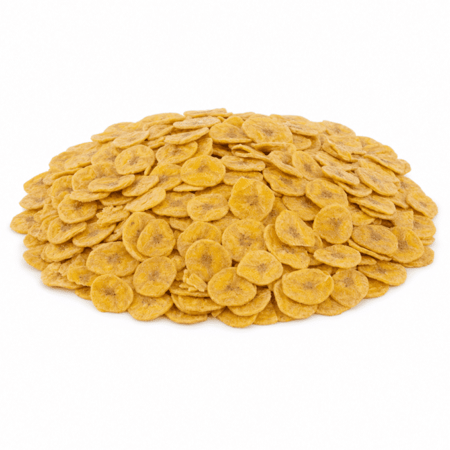 Plantain Chips | Lightly Salted