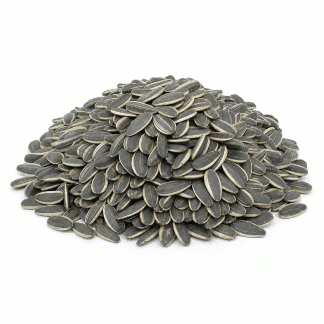 Jumbo In-Shell Sunflower Seeds | Raw
