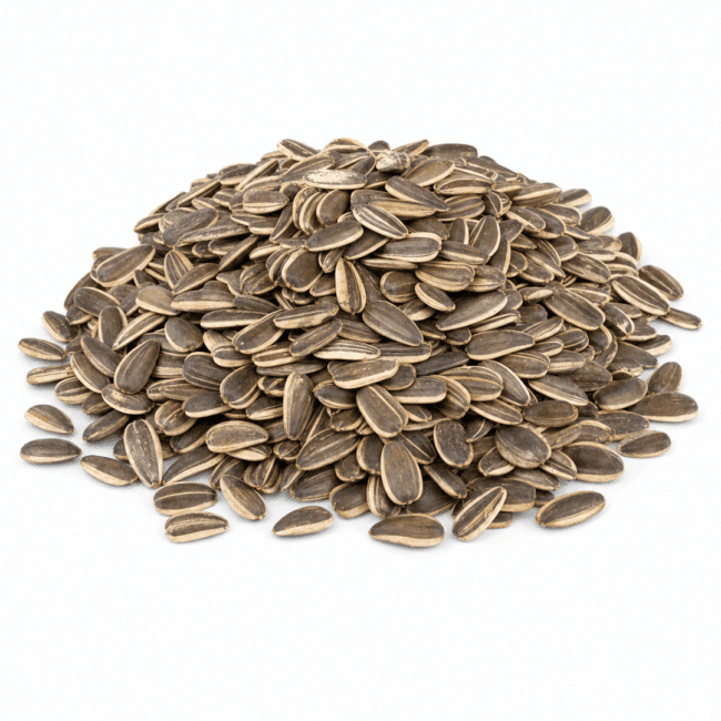 Jumbo In-Shell Sunflower Seeds | Roasted & Unsalted
