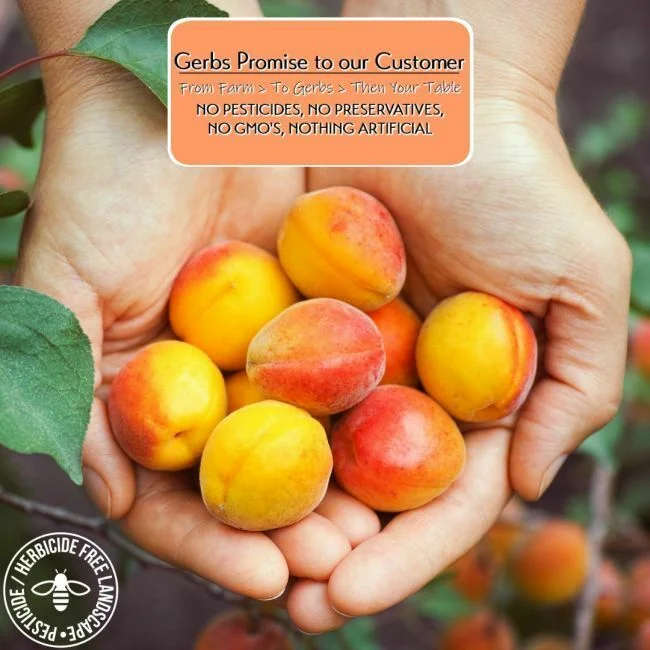 Apricots - No Added Sugar Preservative free all natural ingredients