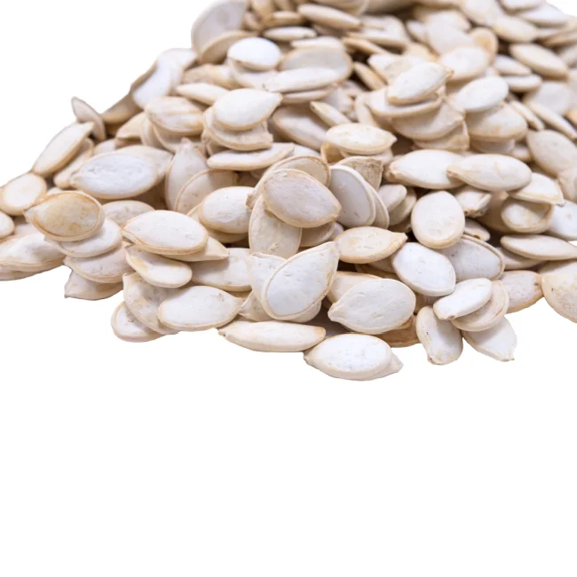 Jumbo Lightly Sea Salted Roasted Whole Pumpkin Seeds - In Shell Pepitas