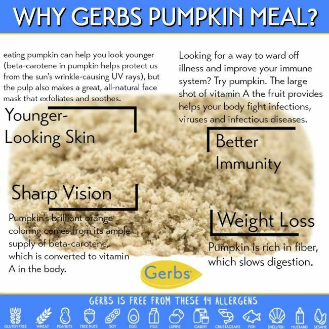 Pumpkin Seed Meal Full Oil Content Protein Powder - Gerbs