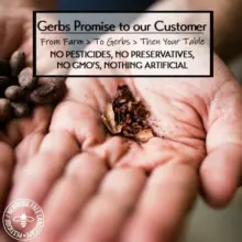 Premium Peruvian Roasted Cacao Nibs, Theobroma cacao, Resealable Bag Health Benefits