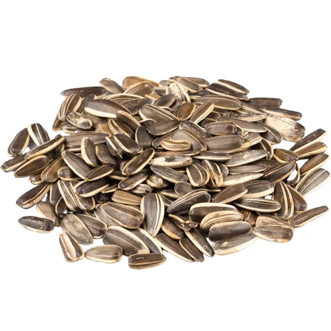 Jumbo Lightly Sea Salted Roasted Premium USA Grade Sunflower Seeds, In Shell, Resealable Bag