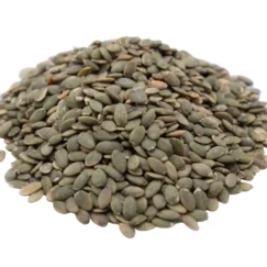 Pumpkin Kernels | Roasted Lightly Sea Salted Pepitas
