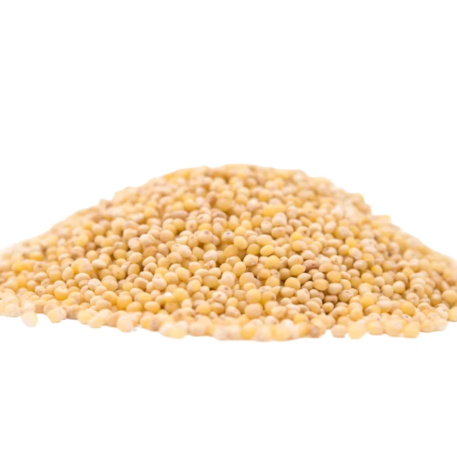 Premium USA Grade White Millet Grain, Resealable Bag