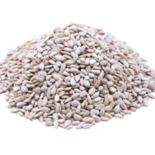 Raw Premium USA Grade Sunflower Seed Kernels, out of shell, Resealable Bag