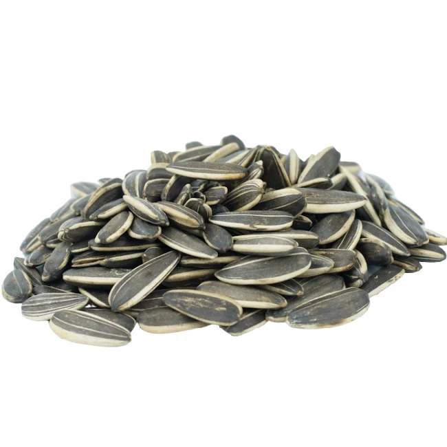 Jumbo Raw Premium USA Grade Sunflower Seeds, In Shell, Resealable Bag