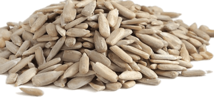Raw sunflower kernels