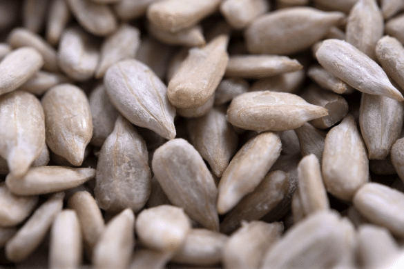 Sunflower kernels, close up