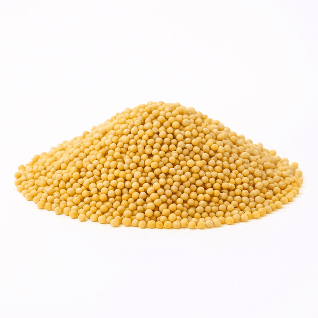 White Millet Seed | Raw Grain