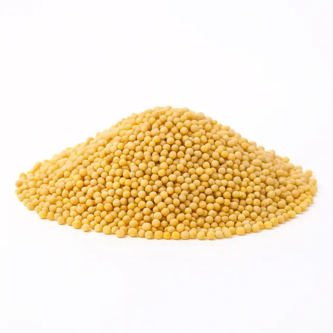 White Millet Seed | Raw Grain