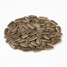 Jumbo In-Shell Sunflower Seeds | Roasted & Unsalted