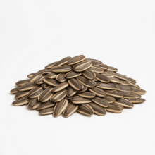 Jumbo In-Shell Sunflower Seeds | Lightly Sea Salted