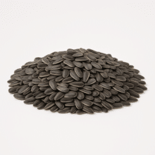 In-Shell Sunflower Seeds | Roasted & Unsalted