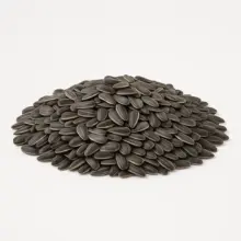 In-Shell Sunflower Seeds | Roasted & Unsalted