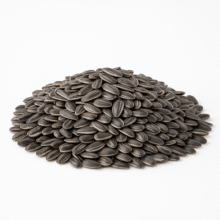 In-Shell Sunflower Seeds | Lightly Sea Salted