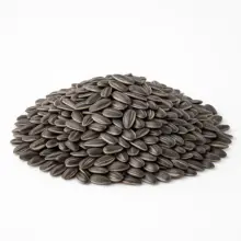 In-Shell Sunflower Seeds | Lightly Sea Salted