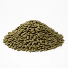 Pumpkin Kernels | Unsalted & Roasted Pepitas