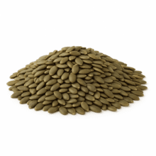 Pumpkin Kernels | Roasted Lightly Sea Salted Pepitas