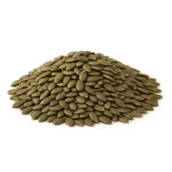 Pumpkin Kernels | Roasted Lightly Sea Salted Pepitas