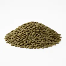 Pumpkin Kernels | Sea Salted Pepitas