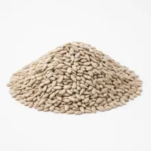 Sunflower Kernels | Raw