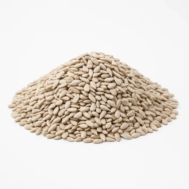 Sunflower Kernels | Raw